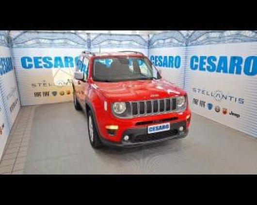 usato JEEP Renegade