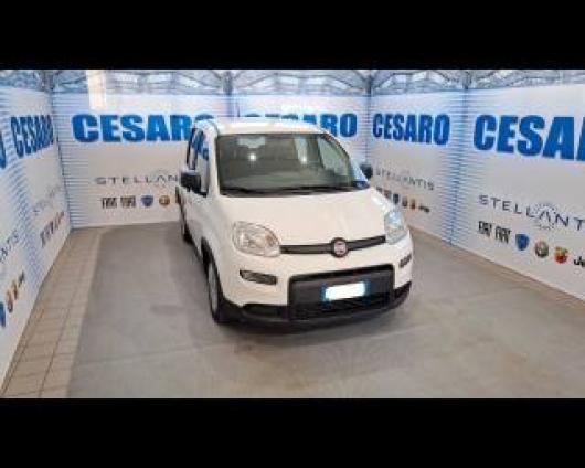 usato FIAT New Panda