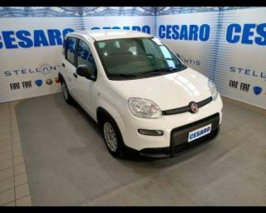 usato FIAT New Panda