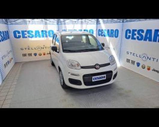 usato FIAT New Panda