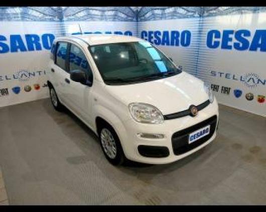 usato FIAT New Panda