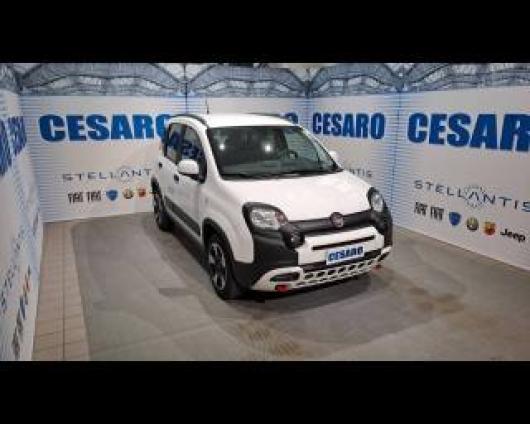 usato FIAT New Panda
