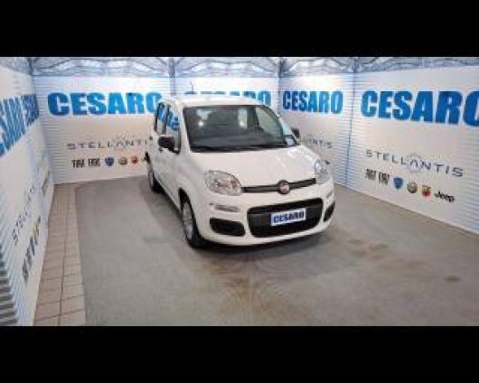 usato FIAT New Panda