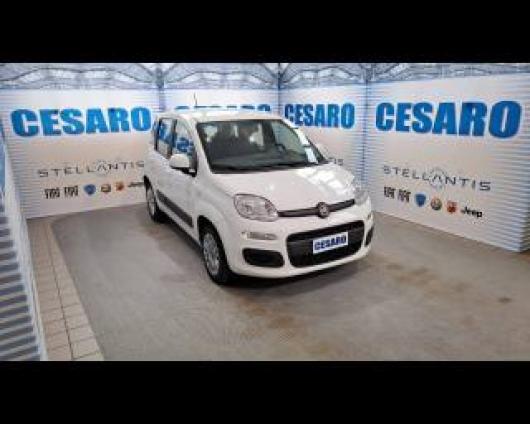 usato FIAT New Panda