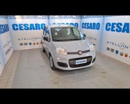 usato FIAT New Panda