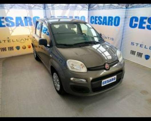 usato FIAT New Panda