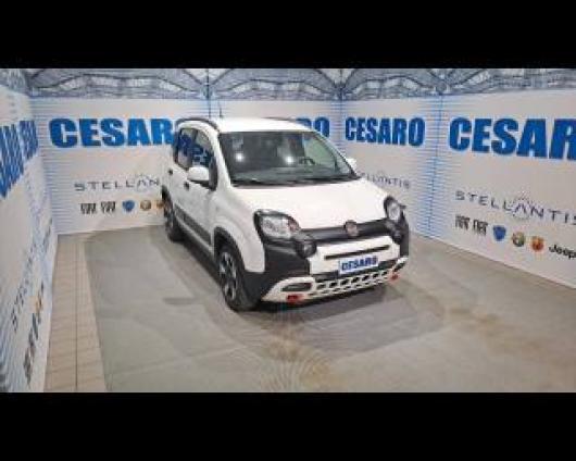 usato FIAT New Panda