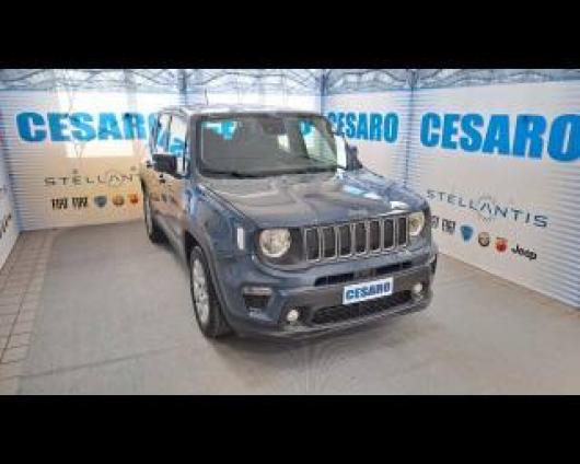 usato JEEP Renegade