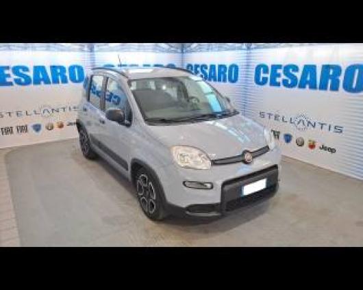 usato FIAT New Panda