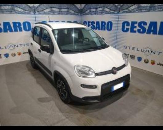 usato FIAT New Panda
