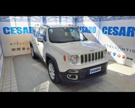 usato JEEP Renegade
