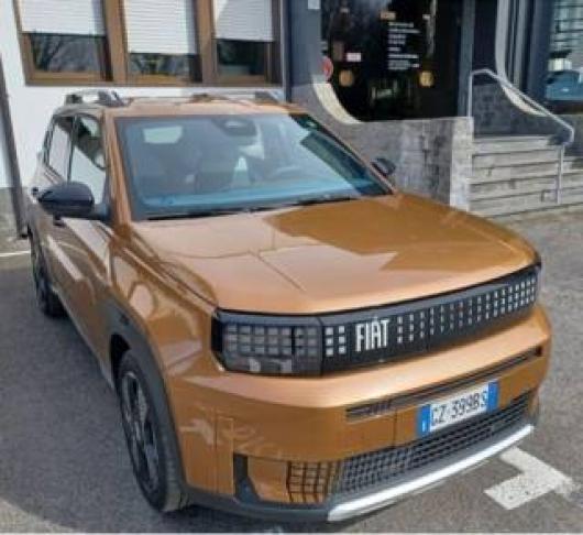 usato FIAT Grande Panda