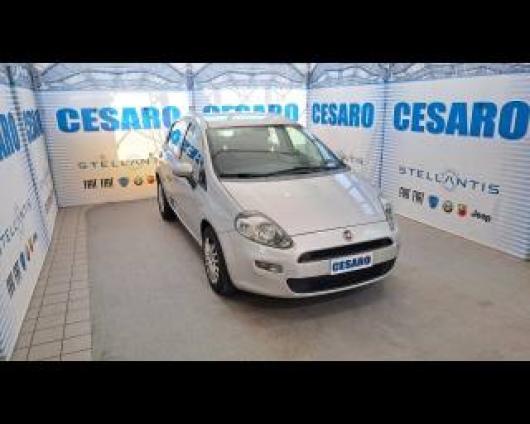 usato FIAT Punto