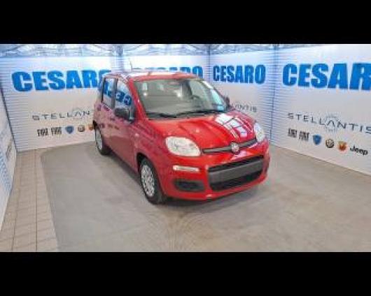 Km 0 FIAT Pandina