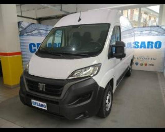 Ducato