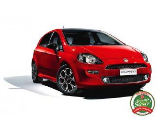 usato FIAT Punto