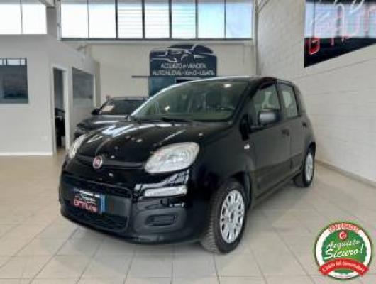 usato FIAT Panda