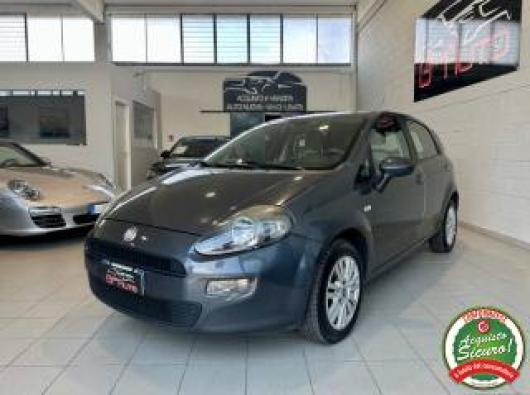 usato FIAT Punto