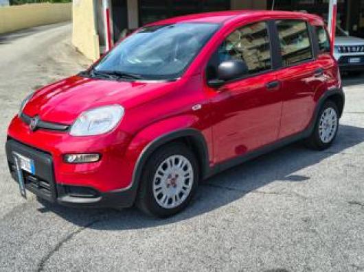 usato FIAT Panda