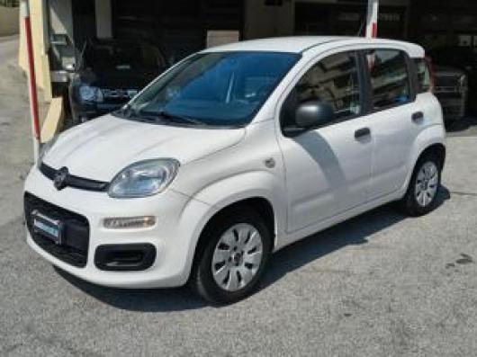 usato FIAT Panda
