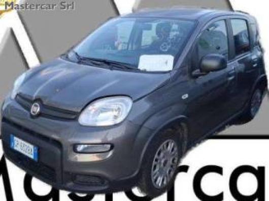 usato FIAT Panda
