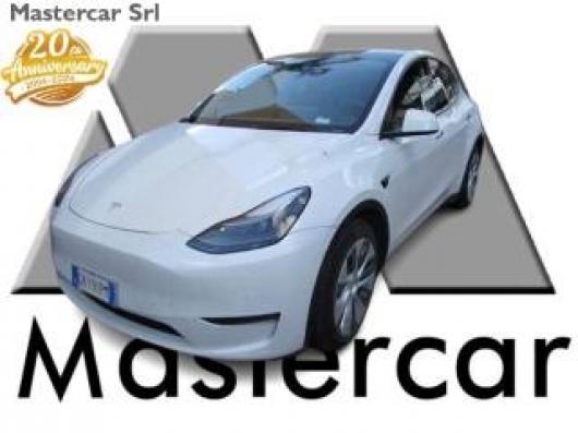 usato TESLA Model Y