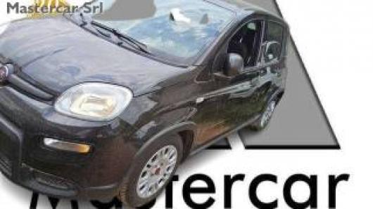 usato FIAT Panda