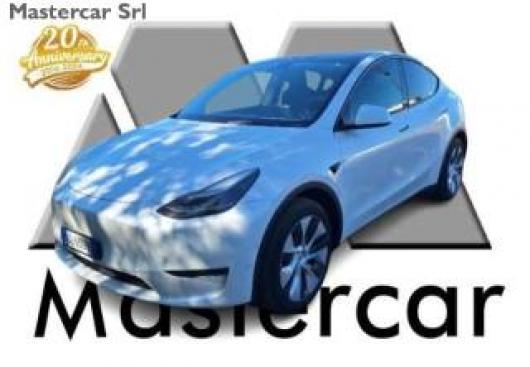 usato TESLA Model Y