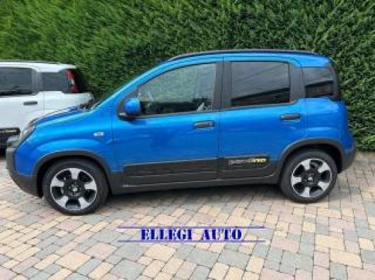 Pandina