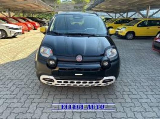 Pandina