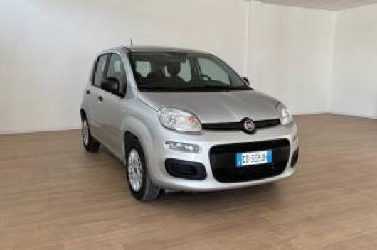 usato FIAT Panda