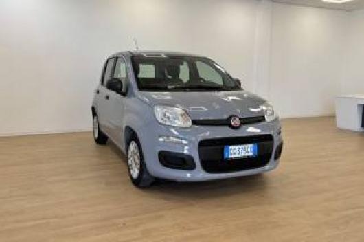 usato FIAT Panda