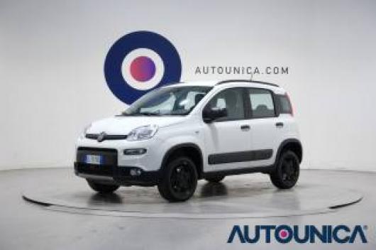 usato FIAT Panda