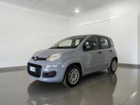 usato FIAT Panda