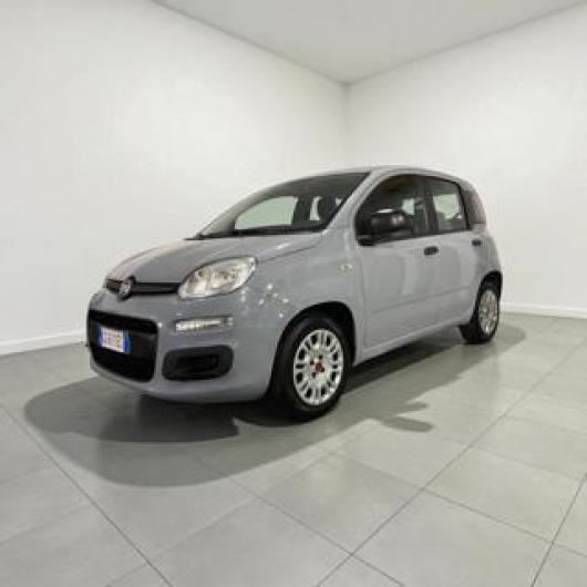 usato FIAT Panda