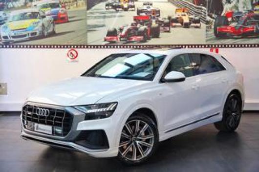 usato AUDI Q8