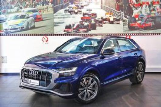 usato AUDI Q8