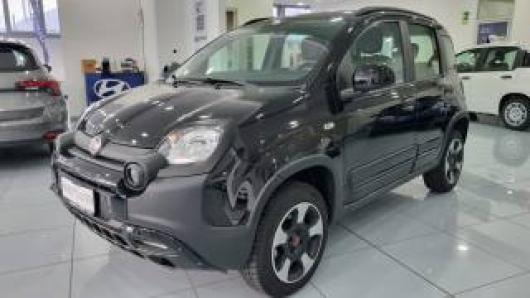 usato FIAT Panda