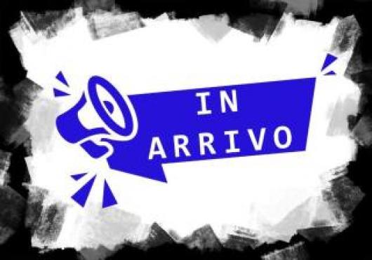 usato MINI Countryman