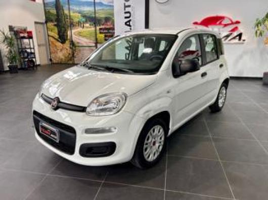 usato FIAT Panda