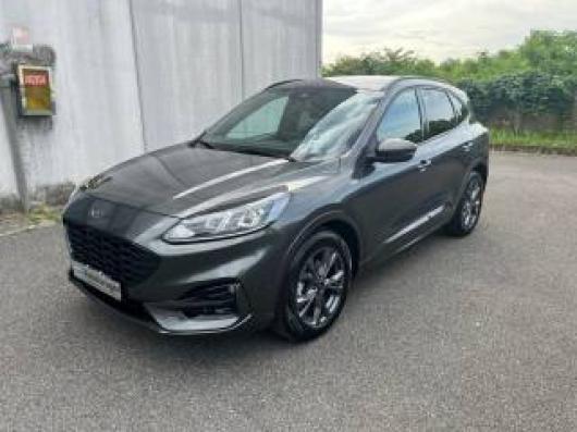 usato FORD Kuga