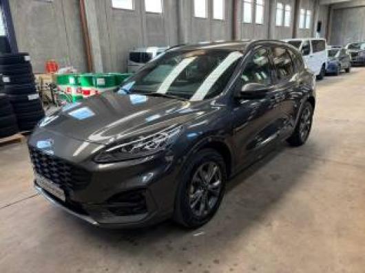 Kuga