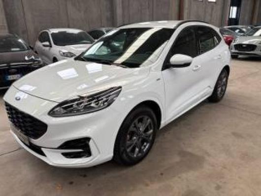 Kuga