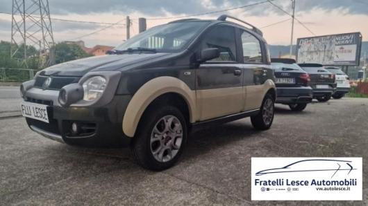 usato FIAT Panda
