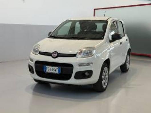 usato FIAT Panda