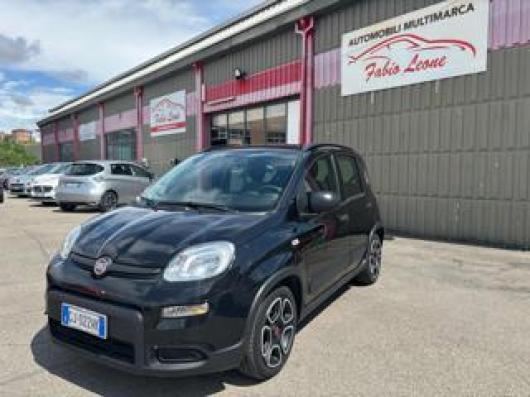 usato FIAT Panda