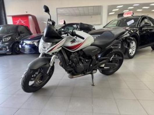 Hornet 600