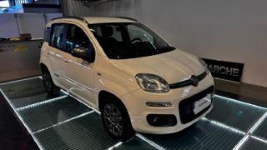 usato FIAT Panda