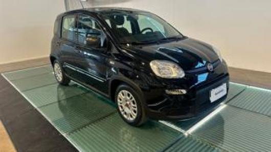 usato FIAT Panda
