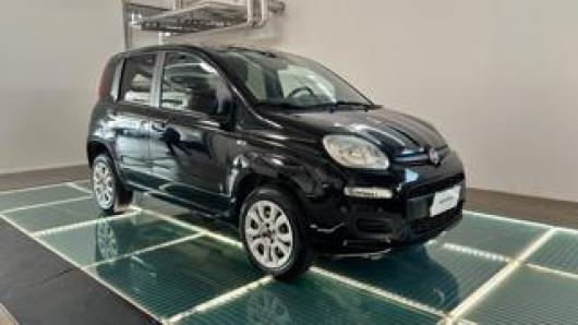 usato FIAT Panda